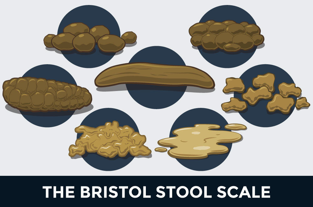 Regular Day the Bristol Stool Scale